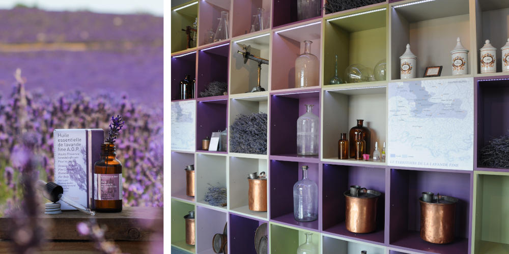 Musée de la Lavande | Living the lavender life | Discover Southern Europe